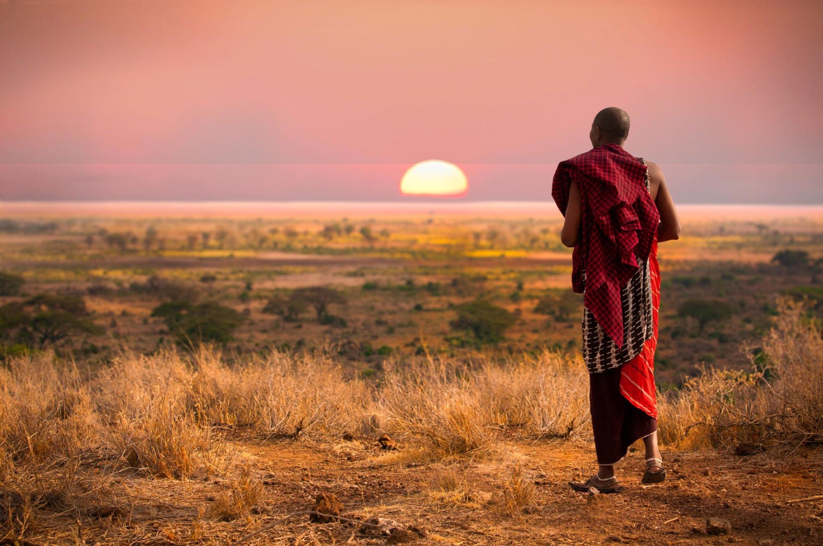 Why Tanzania is the Perfect Safari Destination